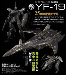 1/48 25th Anniversary Limited Edition Black YF-19
